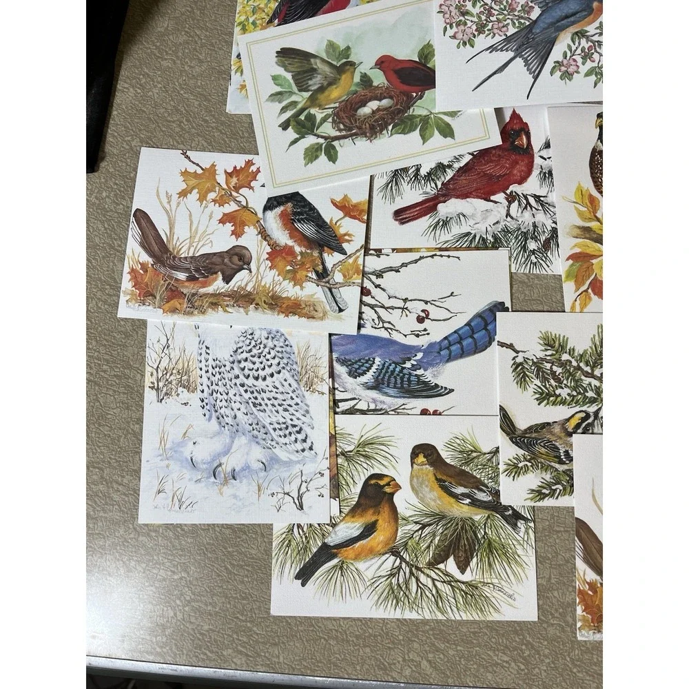 Birds Bird Notecard Card Lot w/ Envelopes Frameable Art Duck Cardinal Blue Jay